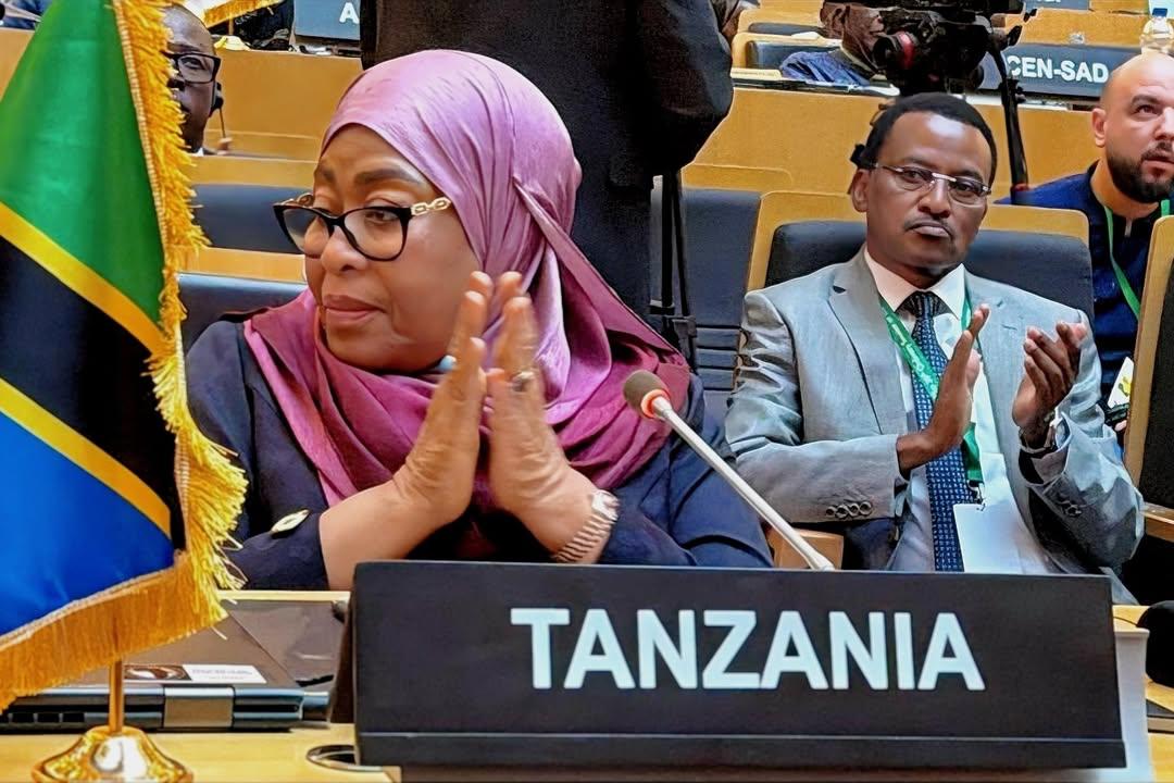 Rais Samia ataja mbinu za kutokomeza Malaria Afrika