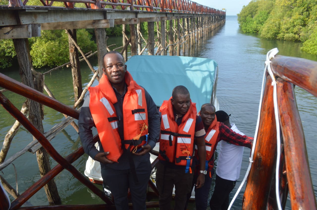 TFS yaanzisha utalii ikolojia hifadhi ya mikoko Tanga