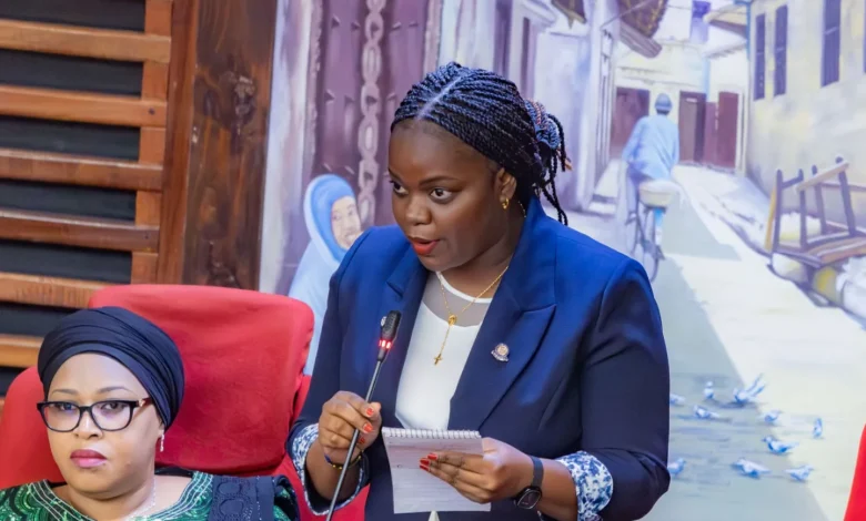 Mbunge ataka ‘Internship’ iwe kigezo cha uzoefu katika ajira