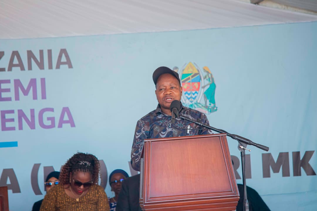 Kiswaga ataja changamoto jimboni mbele ya Dk Mwigulu