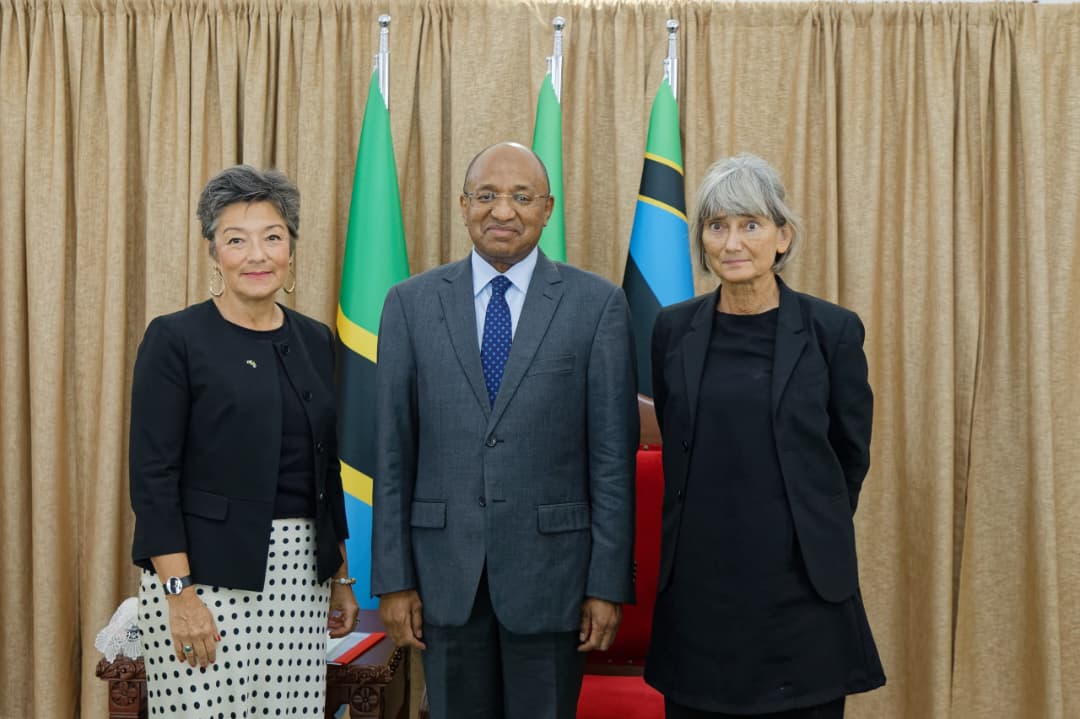 Rais Mwinyi awakaribisha  Sweden kuwekeza Zanzibar