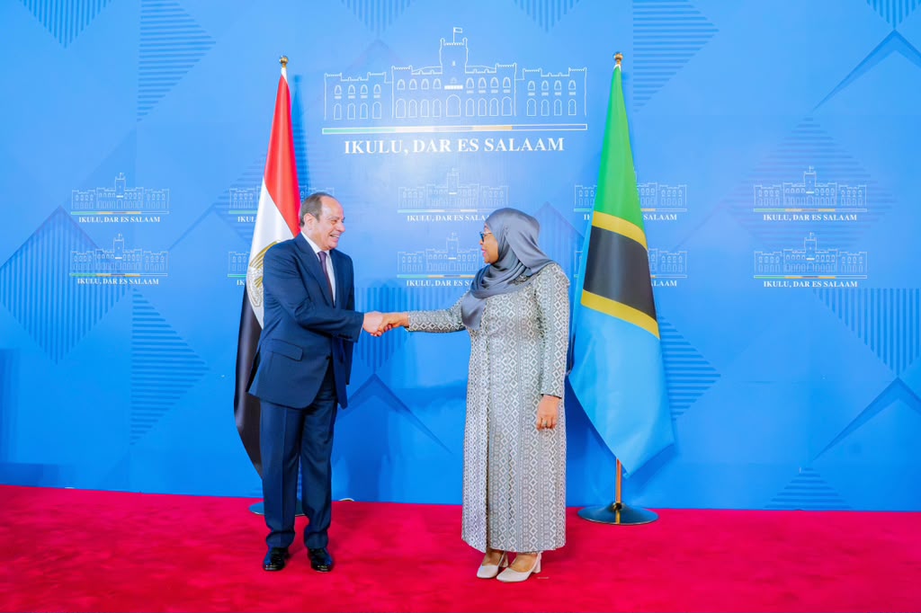 Tanzania, Misri kuimarisha uchukuzi