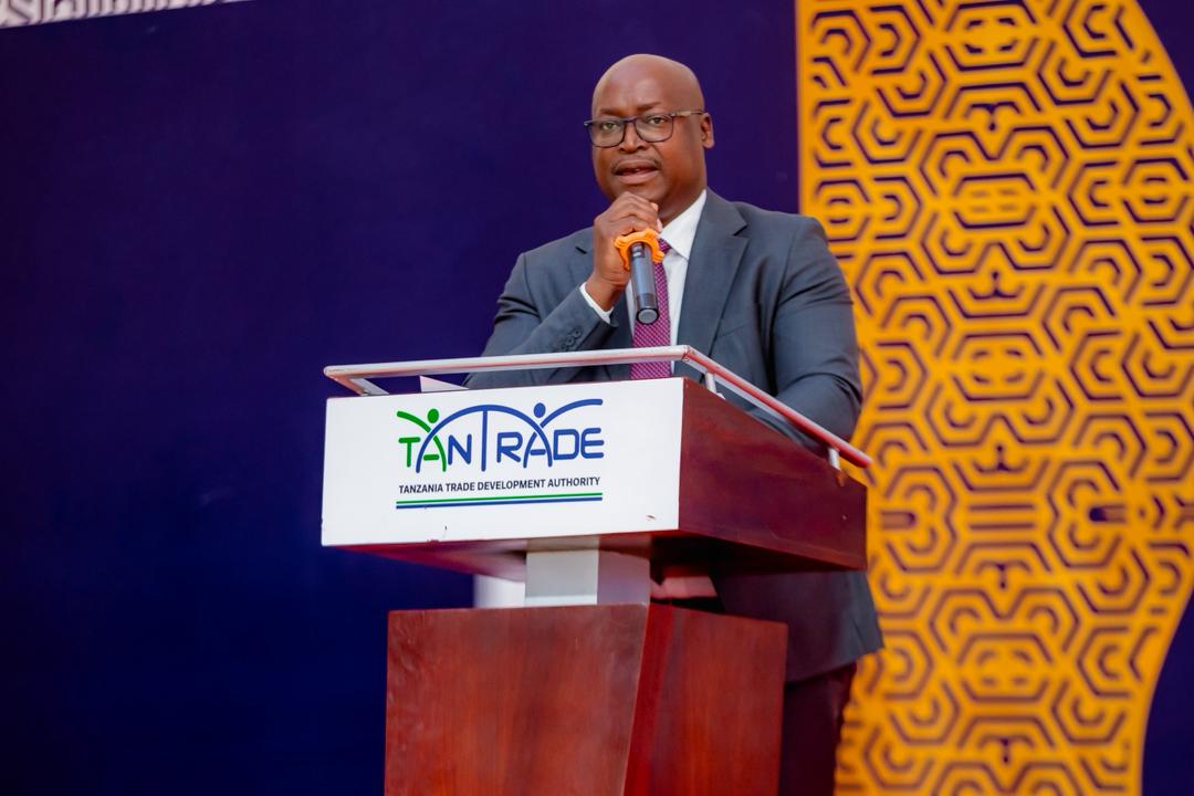 Serikali yaongeza msukumo wa biashara Tanzania, China